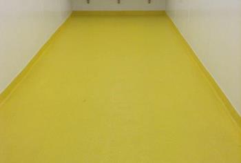 Solvent Free Epoxy Systems