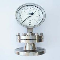 Chemical Seal Gauge With Bolted Seal