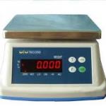 Stainless Steel Food Factory Scales
