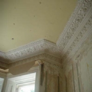 Fibrous Plaster Products