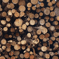 Wood Fuel Supplies
