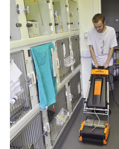 Hygienic Floor Cleaning For Animal Care