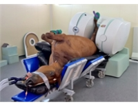 Rotating MRI Scanners For Horses