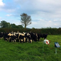 Dairy Grazing Fencing Kit Suppliers