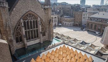 Continuing Professional Development - CPD