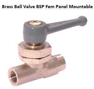 Brass Ball Valve BSP Fem Panel Mountable