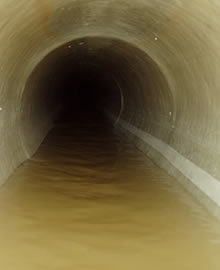 Sewer Relining Services