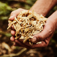 Wood Fuels For Biomass Boilers