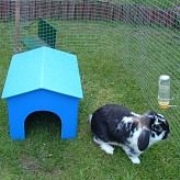 Dog/Animal Transport Boxes