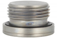 Blanking Plug - BSPP - Peflex Seal