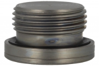 Blanking Plug - BSPP - Peflex Seal