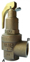 Nabic Safety Relief Valve - Fig 542
