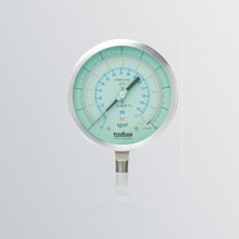 TMP 801 – Test gauge
