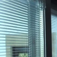 Integrated Blinds