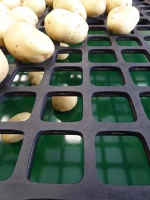 Rubber Grading Screens For Potatoes