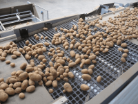 Rubber Grading Screens For Food Applications