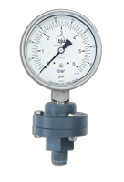 Chemical Seal Gauge with Bolted Diaphragm