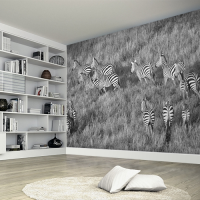 Zebras Wall Mural