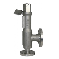 Broady 3600 Balanced Safety Relief Valve