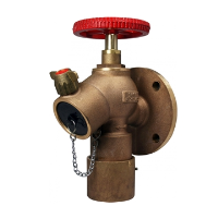 Broady DH6i Fire Hydrant Reducing Valve