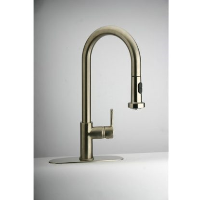 paini arena pull out spray tap finish-brushed steel