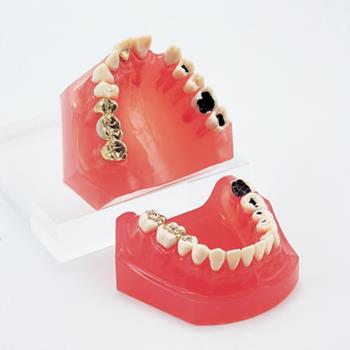 Manufacturer Of Tooth Disease Products West Yorkshire