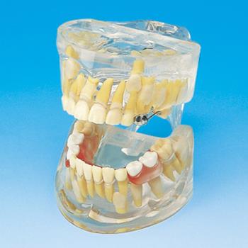 Manufacturer Of Pediatric Dentistry Products