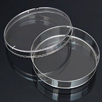Petri Dish, 90mm, Single Vent (500)