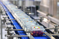 Low-Level Led Lighting For The Food And Drinks Industries