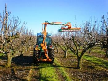 UK Supplier Of Orchard Trimmers