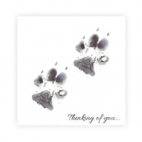 Two Paws Thinking of You Card