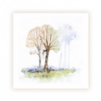 Winter Trees Card