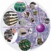 Electronics Manufacturing Services (EMS)