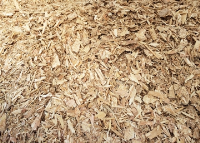 Wood Chip Biomass Fuel