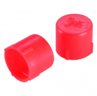 LDPE BSP/Gas Threaded Protection Caps SR1018
