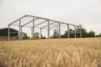Buildings For Agricultural Applications