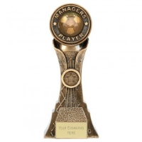 Genesis Football Special Awards - 200mm Hertfordshire
