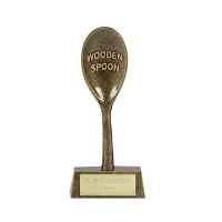 Wooden Spoon Award - 165mm Hertfordshire