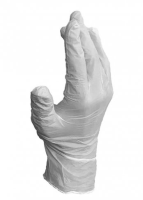 Nitrile Disposable Gloves (100 per box)