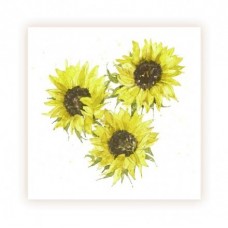 GEN03 Sunflowers