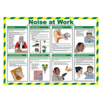 Noise at Work
