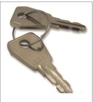 901 Keys (Pair) for 2 Position Key Switch