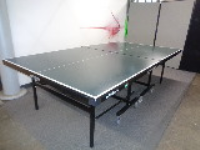 Indoor Rollaway Table Tennis Table 
