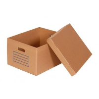 Cardboard Archive Box