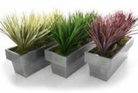 Suppliers of Outdoor Artificial Plants