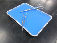AIMS Dissection Tray