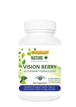 Vision Berry for Dogs and Cats, Puppies and Kittens – 60 capsules