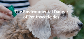 The Environmental Danger of Pet Insecticides