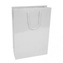 White Gloss Laminated Bags