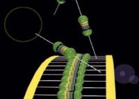 Axial and Radial Inductors